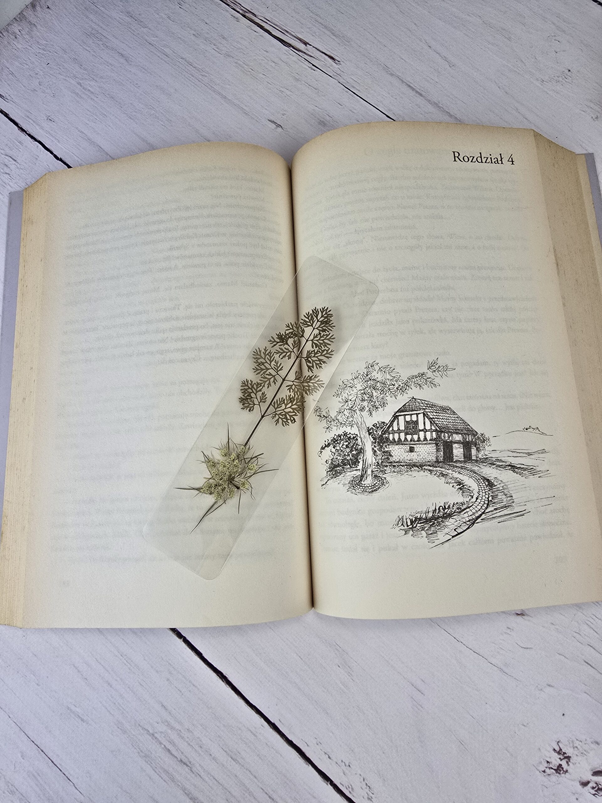 Zakładka do książki z zatopioną dziką marchwią i liskiem kminku, leżąca w otwartej książce z ilustracją.